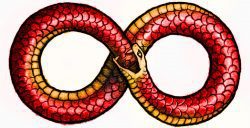 infinity serpent